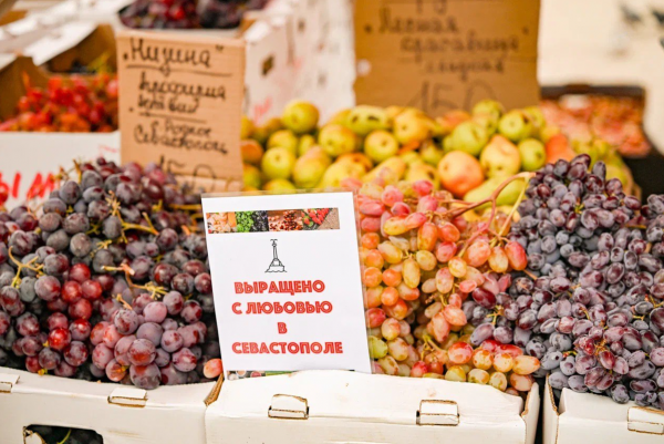 Источник: ДСХиПР/Вконтакте Цены на продукты осенью будут изменяться под влиянием сезонности, инфляции и погодных условий