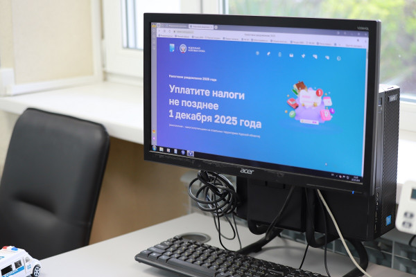 налоговая 