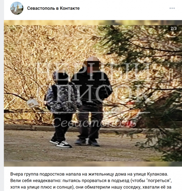 Обматерили и хватали за руки. Источник: «Севастополь Вконтакте»