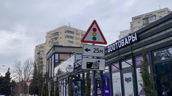 Город и его звери: экономика зоорынка Севастополя в эпоху конкуренции и высоких цен.