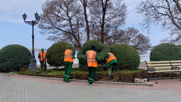 налоговая