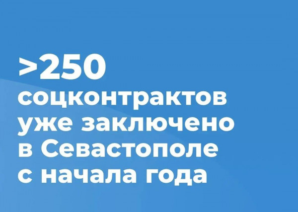 250 новых микропредприятий: анатомия севастопольского соцконтракта 2026 года