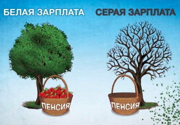 &laquo;До пенсии не доживают&raquo;: что на это отвечают цифры и здравый смысл в Севастополе и не только