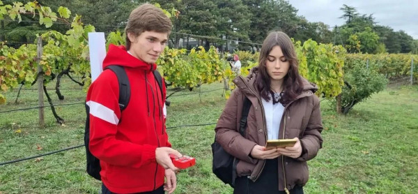 Будущее севастопольского виноделия